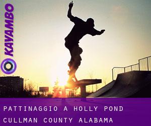 pattinaggio a Holly Pond (Cullman County, Alabama)