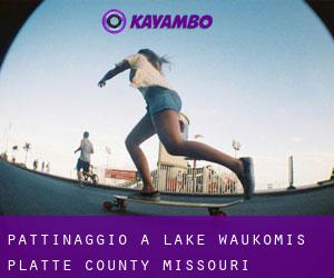 pattinaggio a Lake Waukomis (Platte County, Missouri)