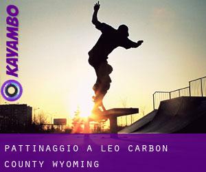 pattinaggio a Leo (Carbon County, Wyoming)