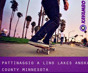 pattinaggio a Lino Lakes (Anoka County, Minnesota)