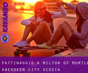 pattinaggio a Milton of Murtle (Aberdeen City, Scozia)