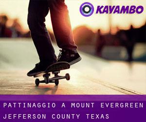 pattinaggio a Mount Evergreen (Jefferson County, Texas)