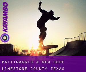 pattinaggio a New Hope (Limestone County, Texas)