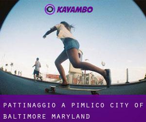 pattinaggio a Pimlico (City of Baltimore, Maryland)