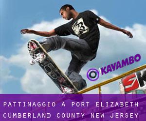 pattinaggio a Port Elizabeth (Cumberland County, New Jersey)