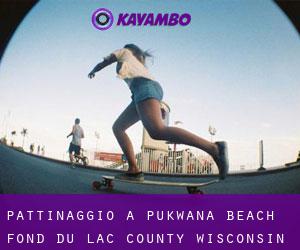 pattinaggio a Pukwana Beach (Fond du Lac County, Wisconsin)