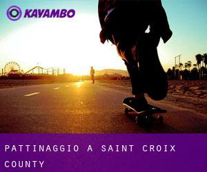 pattinaggio a Saint Croix County