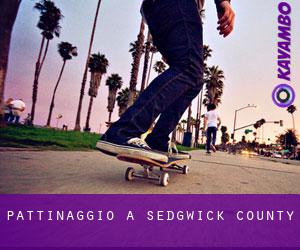 pattinaggio a Sedgwick County pattinaggio a Sedgwick County