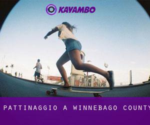pattinaggio a Winnebago County pattinaggio a Winnebago County