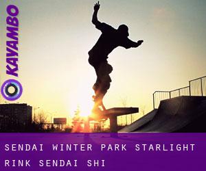Sendai winter park starlight rink (Sendai-shi)