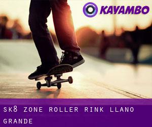 Sk8 Zone Roller Rink (Llano Grande)