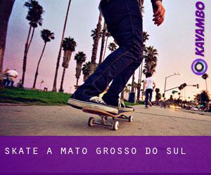 skate a Mato Grosso do Sul