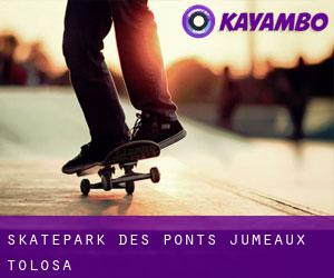 Skatepark des Ponts Jumeaux (Tolosa)